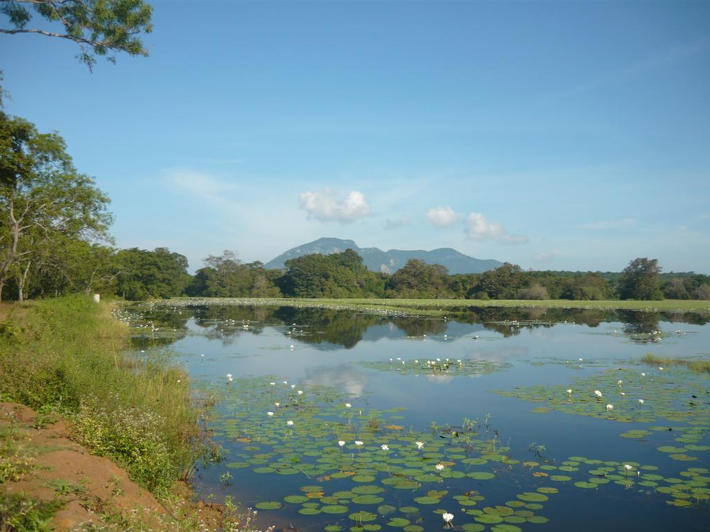 Sunrise Holiday Resort Habarana Exterior photo
